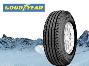 goodyear zimska