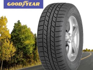 goodyear wrangler hp